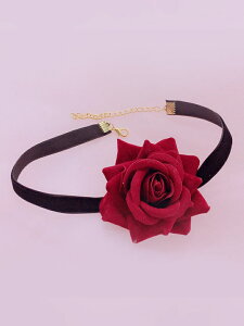 SVbN[YRT[W`[J[ ubN vcsit-2491