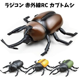 楽天市場 カブトムシ リアルの通販