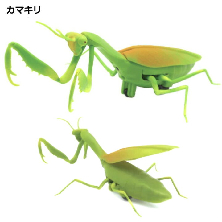 当店一番人気 カマキリ ラジコン Giant Mantis Www Hallo Tv