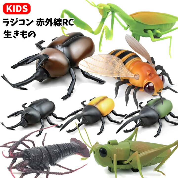 楽天市場 ラジコン 赤外線rc 生きもの カブトムシ ヘラクレスオオカブト カマキリ バッタ ジャイアントビー エビ 昆虫 カブト虫 かぶとむし かまきり 蜂 ハチ えび リアル 子供 おもちゃ 玩具 室内 室内遊び キッズ 男の子 プレゼント ギフト 誕生日 クリスマス 生物