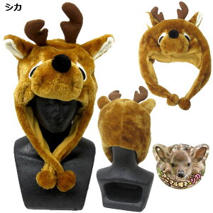 yLO1ʎ܁z Aj}Xq |  ǂԂ C̐ VN} F VJ  T   ETM N} F p_ yM  n  E}  t[TCY nEB RX