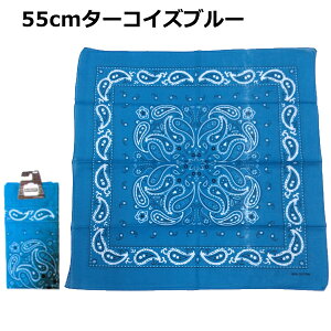 y݌v6˔jzo_i 50cm 55cm yCY[   100% |     F   bh lCr[ O[ ubN nVrRE Rbg100% `NX ٓ Op nJ