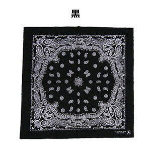 y݌v2˔jzo_i 唻 { 65cm×65cm yCY[  100% | 傫 rbOTCY Rbg100% IW  F x[W F  `NX ٓ Op nJ` XJ