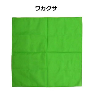 yLO1ʎ܁zy݌v1˔jzo_i n AJ { 53cm×53cm 100% | PF   sN IW      F  Cgu[  Rbg `NX 