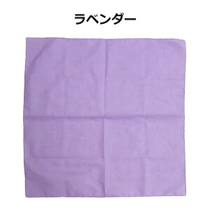 yLO1ʎ܁zy݌v1˔jzo_i n AJ { 53cm×53cm 100% | PF   sN IW      F  Cgu[  Rbg `NX 