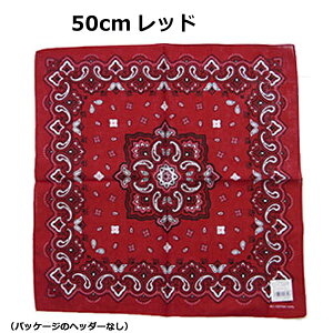 y݌v6˔jzo_i 50cm 55cm yCY[   100% |     F   bh lCr[ O[ ubN nVrRE Rbg100% `NX ٓ Op nJ