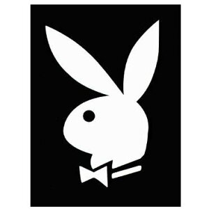 vC{[C~jTCY|X^[sPlayboyt}[N@ʔ́@yV@̔@@v[g