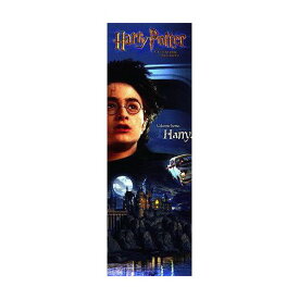 ハリーポッターと秘密の部屋ドアポスター【HARRY POTTER】　通販　楽天　販売　　プレゼント ハリー・ポッター ダニエルラドクリフ