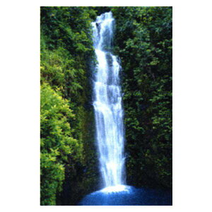 iʐ^ |X^[ u[O[   X R ʐ^@ʔ́@yV@̔@@v[g