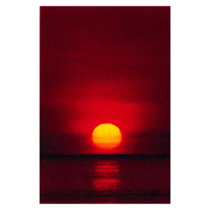 楽天市場 ポスター サンセット 写真 風景 日の入り 日の入 海に沈む夕日 夕日 通販 楽天 販売 夕焼け空 バニティスタジオ 傘 キッズ