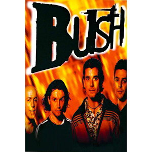 ubVyBushz|XgJ[h@ʔ́@@v[g