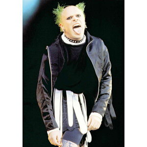 ザ・プロディジーポストカード《The Prodigy》01 通販  プレゼント