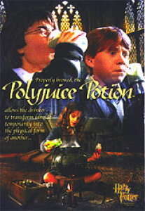 n[|b^[ƌ҂̐ f |X^[yHARRY POTTERzʔ yV ̔ v[g Mtg n[}CIj[EOW[ EEB[Y[ CeA   tH[ Vbv