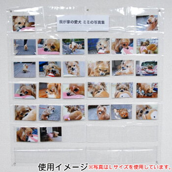 【30%OFF】写真展示用ホルダー2L・キャビネ判:【05P13Oct09】