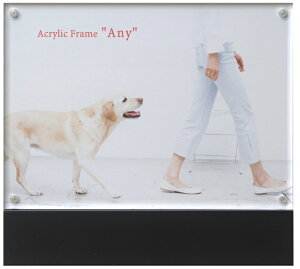 ANt[ Gj[ any KG/͂TCY }Olbg ytHgt[ ʐ^ AN   NA z