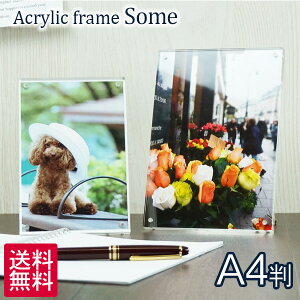  }Olbg ANt[ some A4 cp  tHgt[ ʐ^  AN  NA  S  y䂤pPbg |Xgz