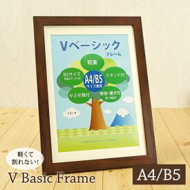 Vベーシックフレーム A4/B5判 2サイズ兼用 全4色 万丈 壁掛け フォトフレーム 額縁 シンプル