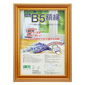 【受発注品】軽量 ナカバヤシ 樹脂製 賞状額 金ケシ B5（JIS規格）フ-KWP-31/V