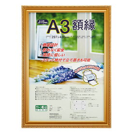 受発注品 軽量 ナカバヤシ 樹脂製 賞状額 金ケシ A3（JIS規格）フ-KWP-40/V