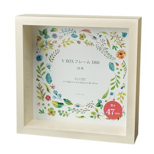 ̊z z VBOXt[ D60 20p zCg/x[W [47mm   EFJ{[h {bNX 