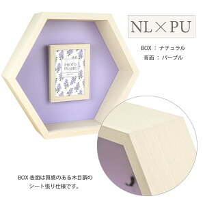 L tHgt[ZpBOX uE/i` 茳{ CeA  {bNXt[  z ʐ^ e  fBXvC A 