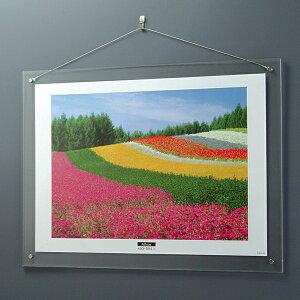 󔭒i iJoV ANsN`[t[ A2 tHgt[ z ʐ^ W Ǌ|