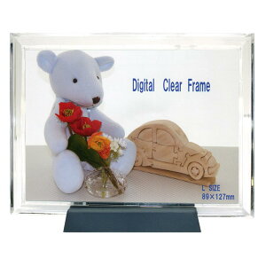 ݗz L ʐ^ fW^NAt[ LTCY