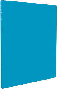 受発注商品 クリヤーファイル A4 高透明 20ポケット 黒台紙 ブルー/ピンク/ライトグリーン/ブラック/ホワイト KP-2512 セキセイ