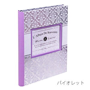 受発注商品 フォトランク ウィンドウカバーアルバム L判 2段 80枚収納 ポケットアルバム ア-FTPW-L-204 ナカバヤシ