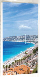 v`J[ht@C 60[ |PbgTCYF60x91mm `FL Ao S3 J[h h ʐ^  RpNg 