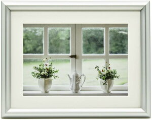 tWJ[ A~z YA-5 Z Vo[ 󔭒i ʐ^ Ǌ| tHgt[ z 6