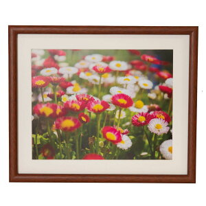 フジカラー 木製額縁 M21 6切 ブラウン 受発注品FUJICOLOR 写真 額縁 フォトフレーム 六切