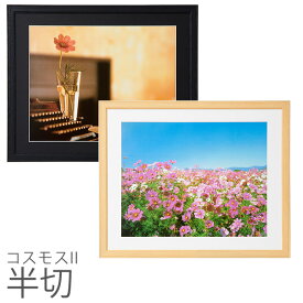 楽天市場 コスモス フォトフレームの通販