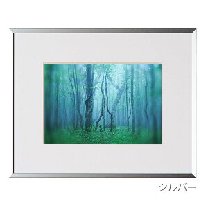 󔭒i PR[EgLi[ A~z M[ 2L AGY-2L Ǌ| tHgt[ z