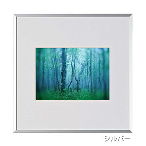 �󔭒����i �P���R�[�E�g�L�i�[ �A���~�z�� �M�������[ 2L�X�N�G�A AGY-2LSQ �Ǌ|�� �t�H�g�t���[�� �z��