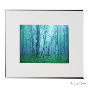 󔭒i PR[EgLi[ A~z M[ Z ʐ^ t[ z Ǌ| 6 Z؂