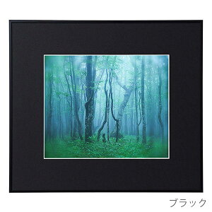 󔭒i PR[EgLi[ A~z M[ l ʐ^ t[ z Ǌ| 4 4؂