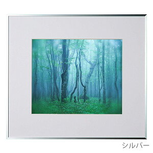 󔭒i PR[EgLi[ A~z M[ l ʐ^ t[ z Ǌ| 4 4؂