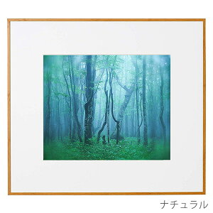 󔭒i PR[EgLi[ A~z M[ l ʐ^ t[ z Ǌ| 4 4؂