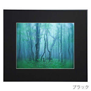 󔭒i PR[EgLi[ A~z M[  ʐ^ t[ z Ǌ|