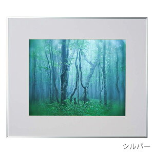 󔭒i PR[EgLi[ A~z M[  ʐ^ t[ z Ǌ|