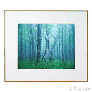 󔭒i PR[EgLi[ A~z M[  ʐ^ t[ z Ǌ|