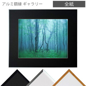 受発注商品 ケンコー・トキナー アルミ額縁 ギャラリー 全紙 壁掛け フォトフレーム 額縁【大型送料適用】