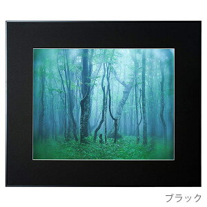 󔭒i PR[EgLi[ A~z M[ S Ǌ| tHgt[ zy^Kpz