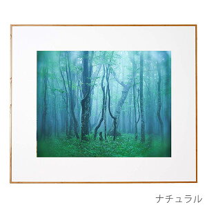 󔭒i PR[EgLi[ A~z M[ S Ǌ| tHgt[ zy^Kpz