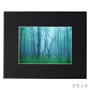 󔭒i PR[EgLi[ A~z M[ A4 ʐ^ t[ z Ǌ|