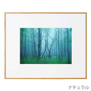 󔭒i PR[EgLi[ A~z M[ A4 ʐ^ t[ z Ǌ|