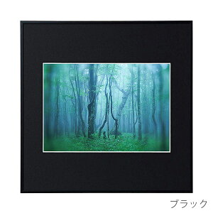 �󔭒����i �P���R�[�E�g�L�i�[ �A���~�z�� �M�������[ A4�X�N�G�A AGY-A4SQ �Ǌ|�� �t�H�g�t���[�� �ʐ^ �z��