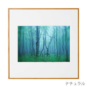 󔭒i PR[EgLi[ A~z M[ A4XNGA AGY-A4SQ Ǌ| tHgt[ ʐ^ z