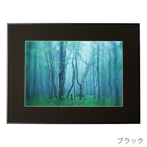 󔭒i PR[EgLi[ A~z M[ A3mr AGY-A3N Ǌ| tHgt[ z